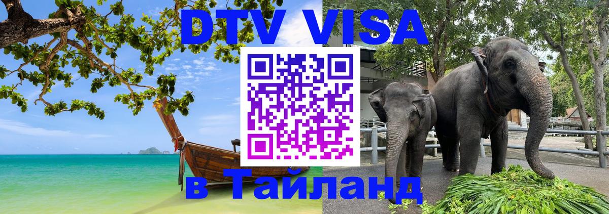 Оформление DTV визы под ключ: стоимость и тарифы, только загранпаспорт - 05.10.2025 